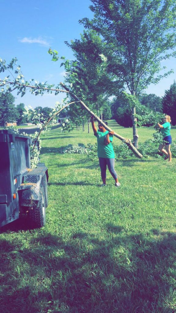 4-Hers trimming trees